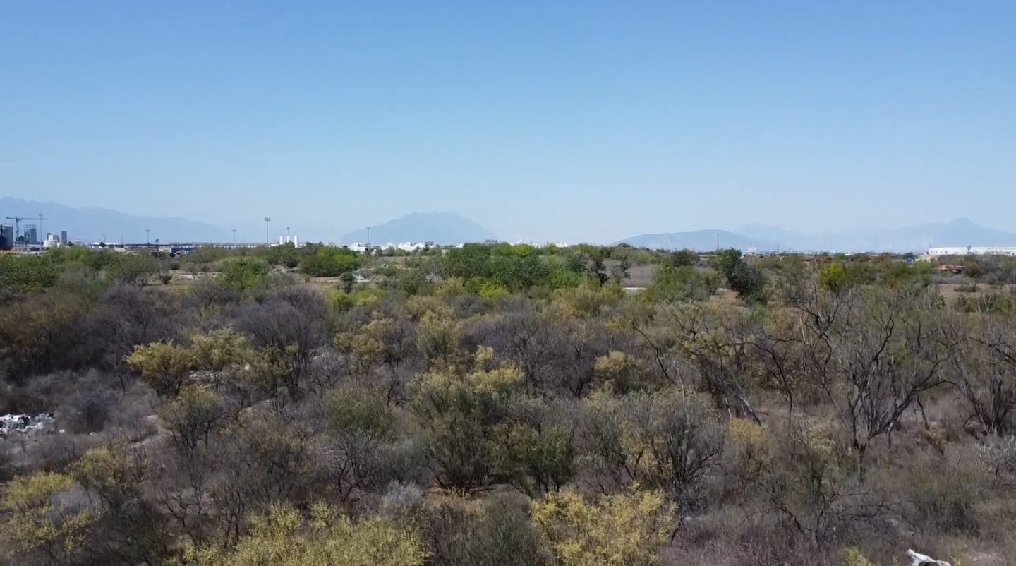 PIG-03 — Parque Industrial Guadalupe