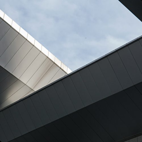 ren-ran-oU2ruea3OzM-unsplash